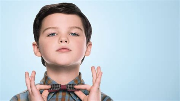 The Impressive Net Worth Of Young Sheldon: A Comprehensive Guide