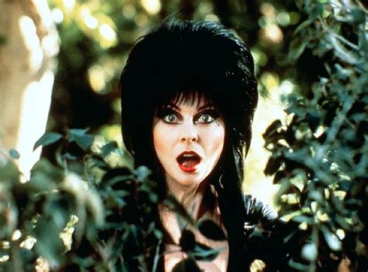 The Legacy Of Elvira Wayans