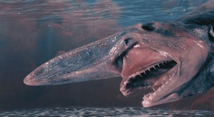 The Most Spine-Chilling Creature: Unveiling The World's Scariest Animal