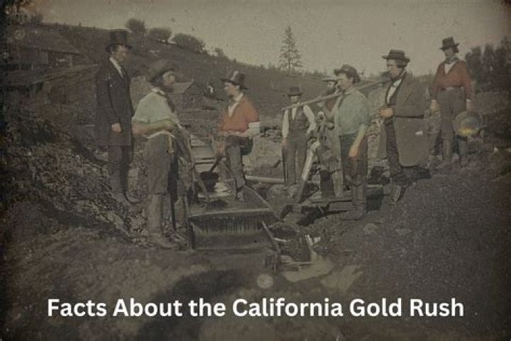 The Pioneer Of Gold Mining