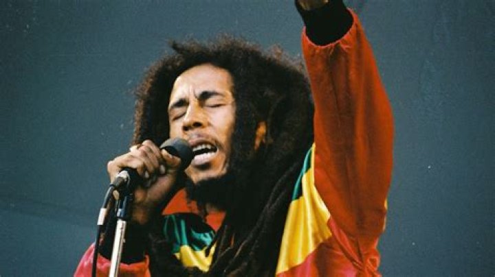 The Reggae Royalty: Damian Marley's Impact On Music