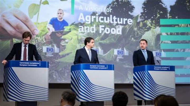 The Role Of Farmers' Alliances In Transforming American Agriculture