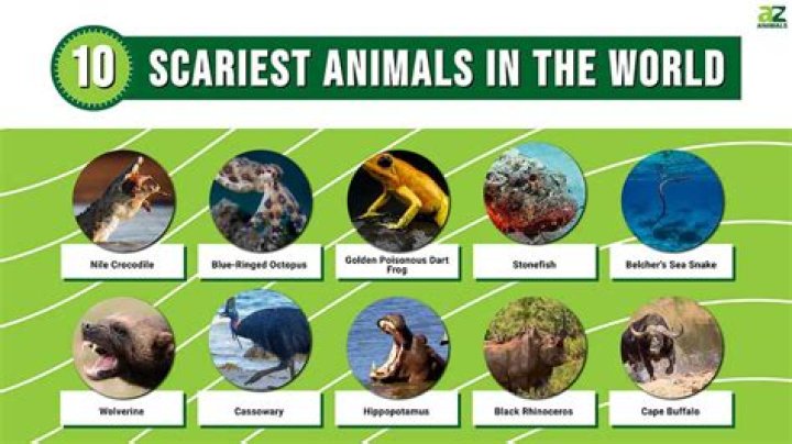 The Spine-Chilling World: Unveiling The Scariest Animals On Earth