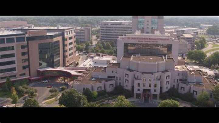 The St. Jude Hospital Scandal Uncovered