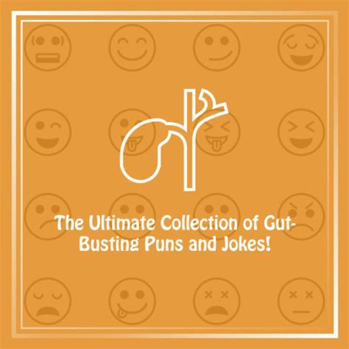 The Ultimate Collection Of Gut-Busting Humor