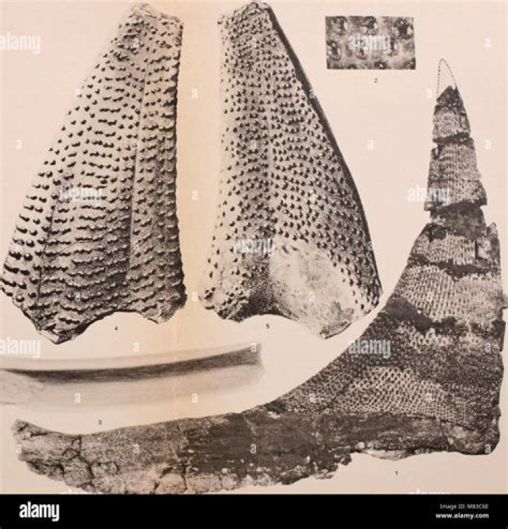 The Ultimate Guide To Dale Russell: His Contributions To Paleontology