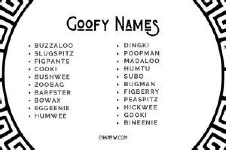 The Ultimate Guide To Goofy Names