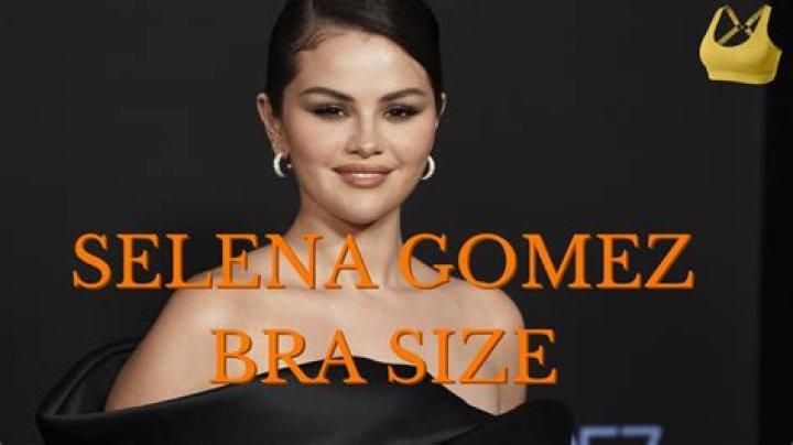 The Ultimate Guide To Her Measurements