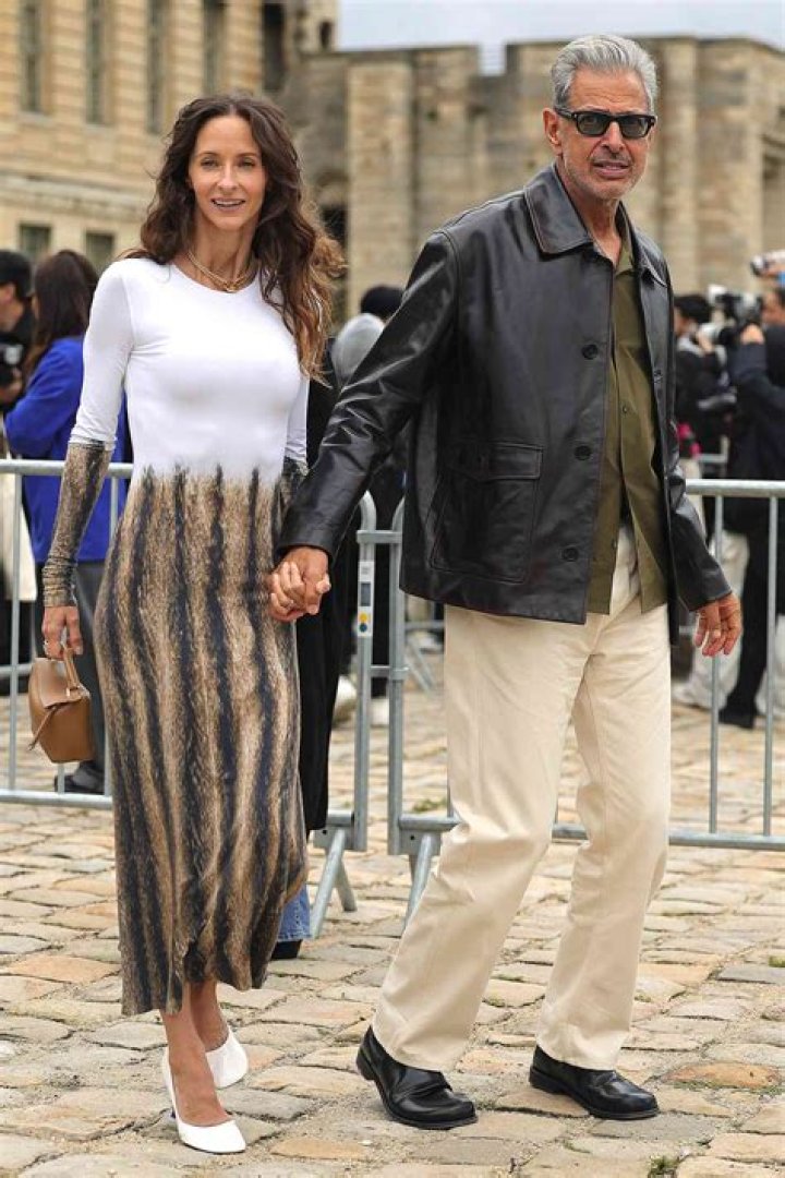 The Ultimate Guide To Jeff Goldblum's Wife: Emmanuelle Chriqui