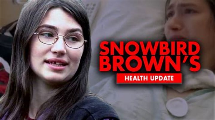 The Ultimate Guide To Snowbird Brown's 2023 Adventures