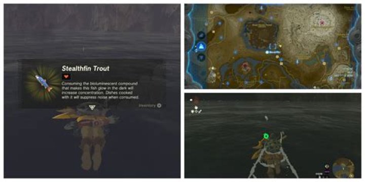 The Ultimate Guide To Stealthfin Trout: Unlocking The Secrets Of Catching The Elusive Predator