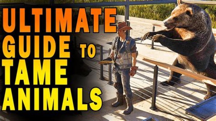 The Ultimate Guide To Tame Your 