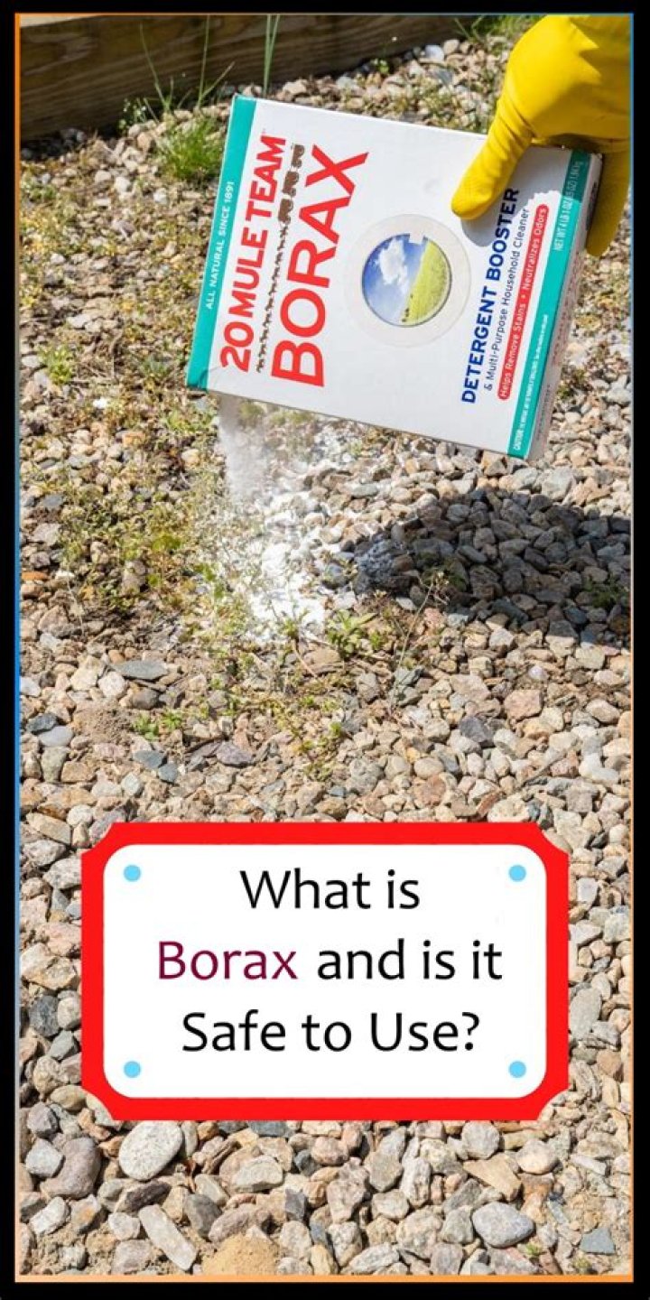 The Ultimate Guide To The Borax Trend: Benefits, Uses, And Safety