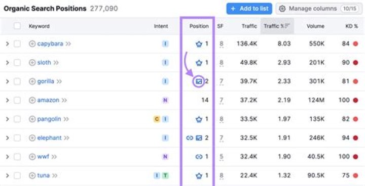 The Ultimate Keyword Search Position Checker | Track Your Rankings Effortlessly