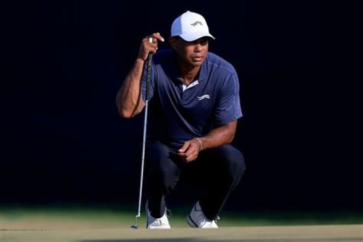 Tiger Woods' Ethnicity: Unraveling The American Golf Icon's Background