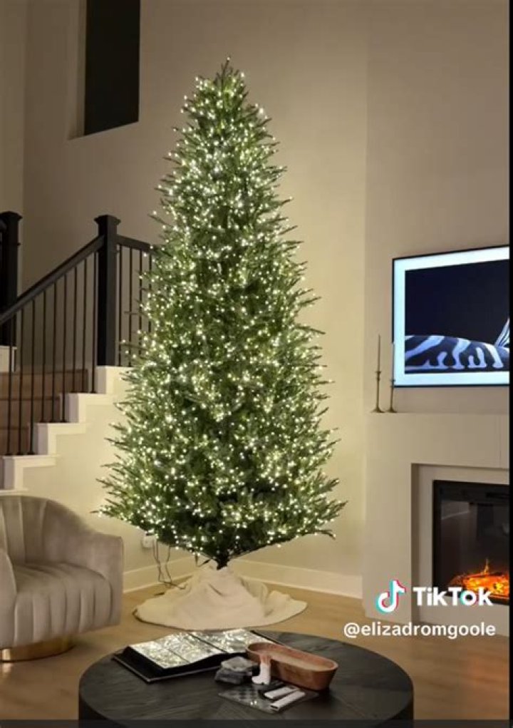 Tiktok Christmas Tree Home Depot