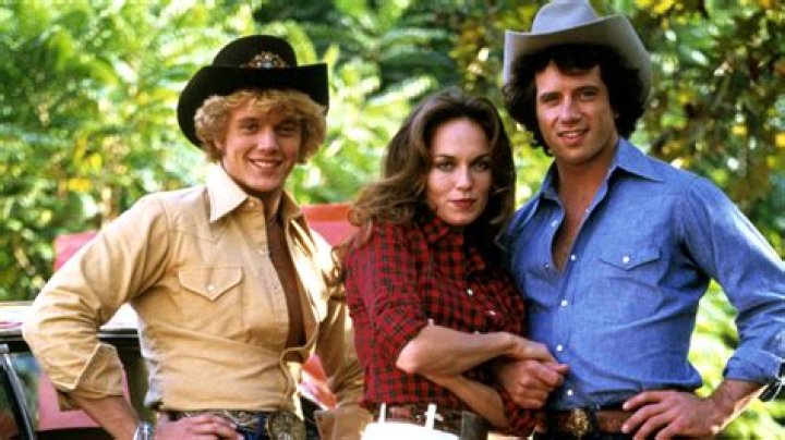 Tom Wopat Mugshot