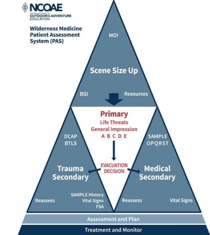 Tragic Outcomes: Examining Wilderness Therapy Fatalities