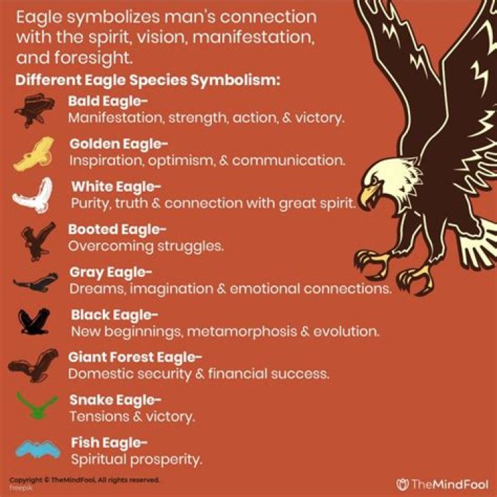 Ultimate Guide To Bird Symbolism And Meaning