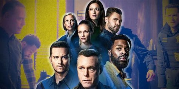 Ultimate Guide To Chicago P.D. Cast Members Who Faced Tragic Ends