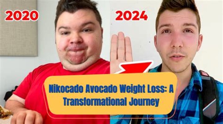 Unbelievable Weight Gain Journey: Nikocado Avocado's Transformation