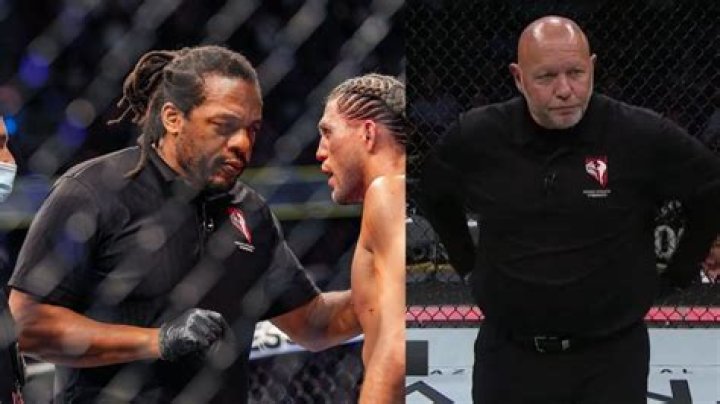 Uncover The Earnings Of Herb Dean, The UFC's Top Referee