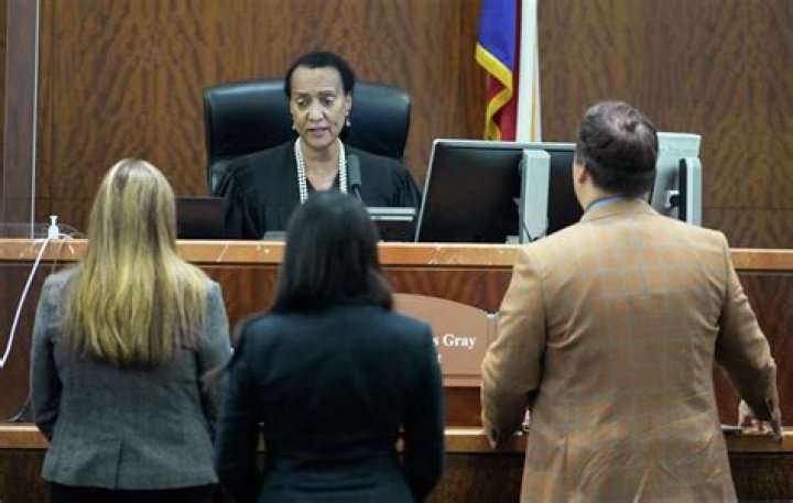 Uncover The Intriguing Truths Behind The Kathy Vu Bail Case