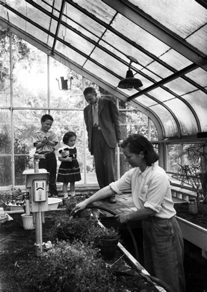 Uncover The Private World: Peter Oppenheimer's Children Revealed
