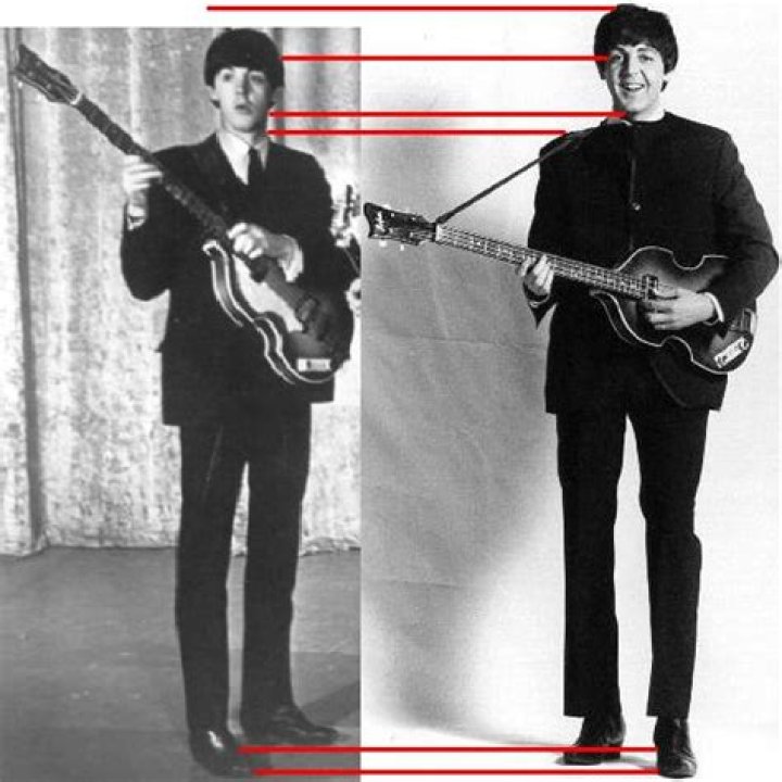 Uncover The Towering Truth: Unveiling The Tallest Beatle