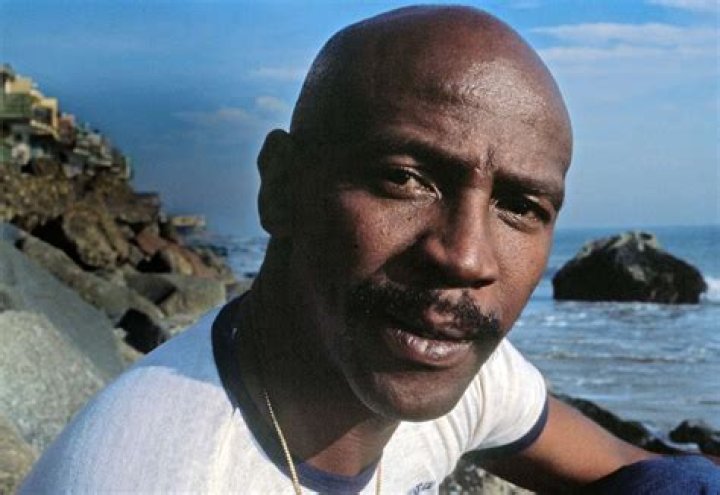 Uncover The Untold Stories Of Louis Gossett Jr.'s Children: A Journey Into Talent And Legacy