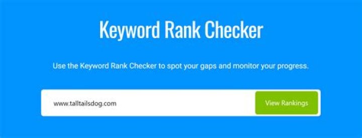 Uncover Your Google Rankings With Our API-Powered Rank Checker