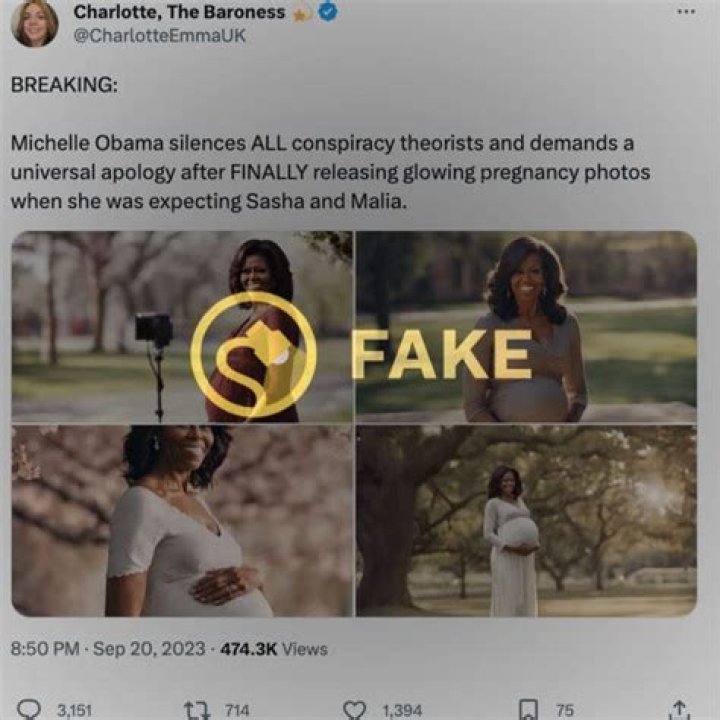 Uncovering Michelle Obama's Pregnancy: Discoveries And Insights
