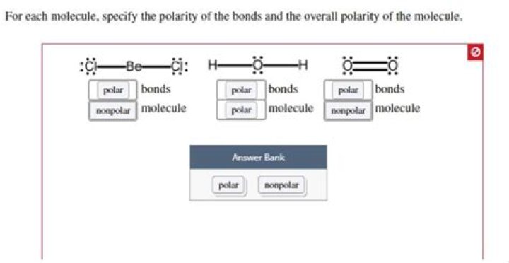 Uncovering The Bonds And Perspectives