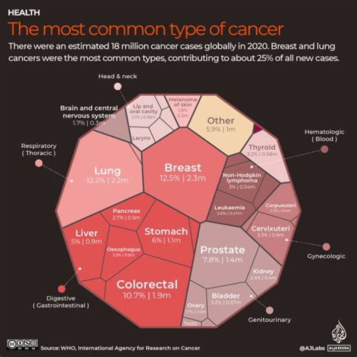 Uncovering The Impact Of Cancer
