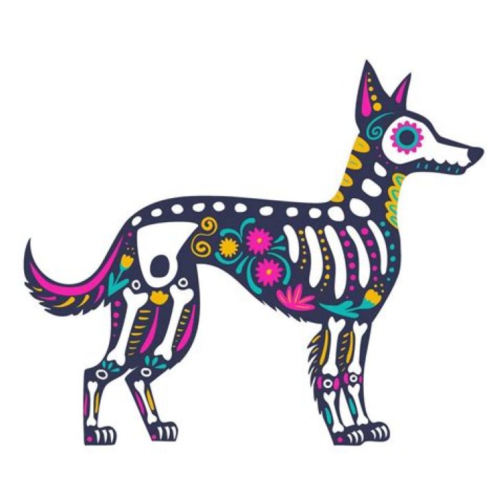 Uncovering The Lineage Of Xolo Mariduea