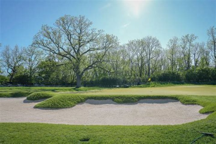 Uncovering The Riches Of A Sporting Icon