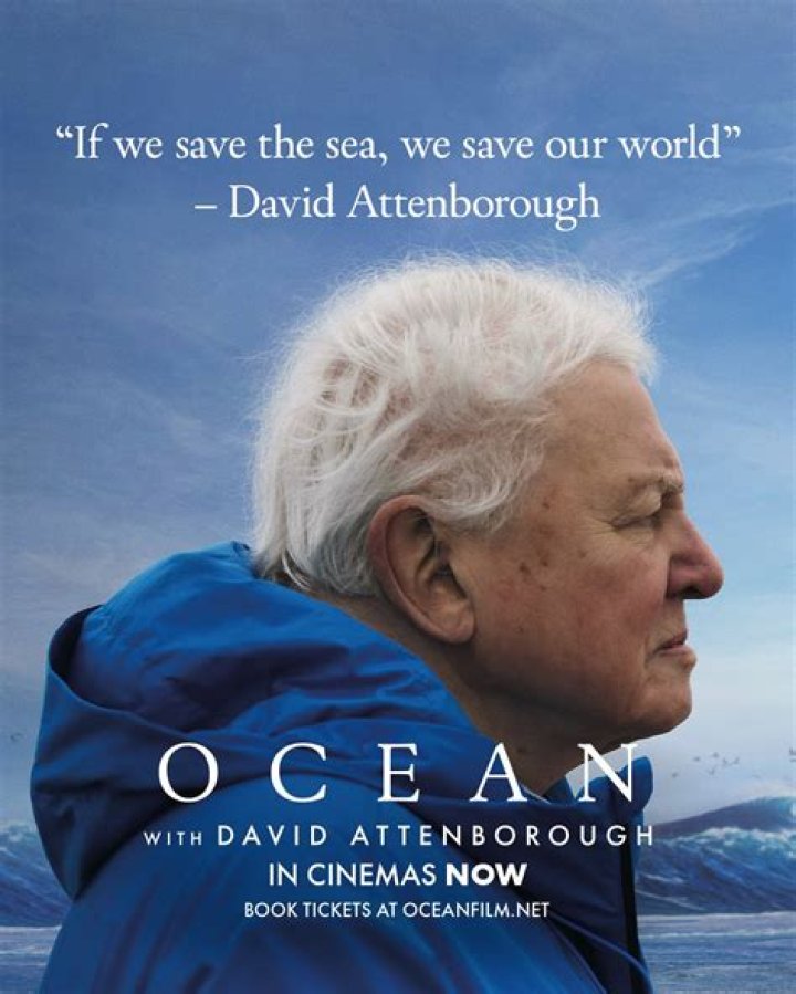 Uncovering The Riches Of David Attenborough: A Deep Dive Into His 2024 Net Worth