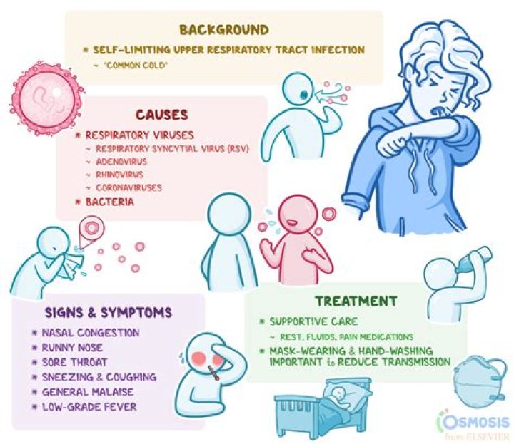 Understanding Hasbulla Disease: Causes, Symptoms, And Treatment