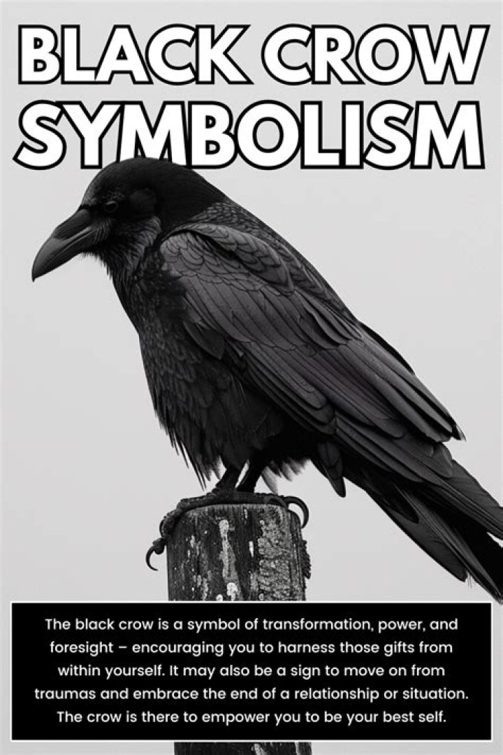 Understanding The Mystical Black Crow Symbolism