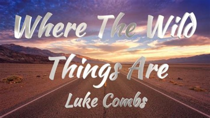 Unearthing The Enchanting Lyrics Of 'Where The Wild Things Are'