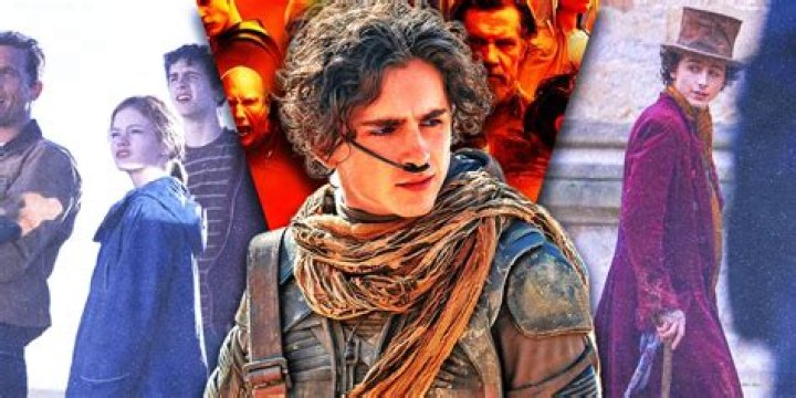 Unforgettable Performances: Movies Starring Timothee Chalamet