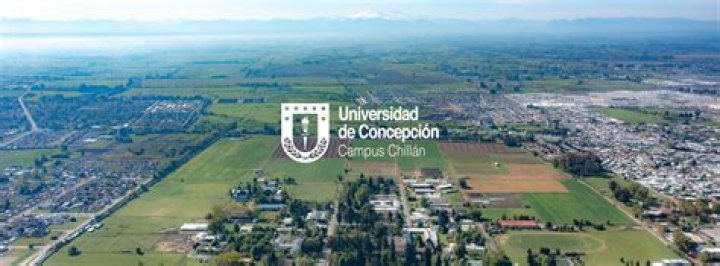 Universidad Concepción vs Antofagasta vea el minuto a minuto Universidad de Concepción vence a Antofagasta y se 28 julio 2024