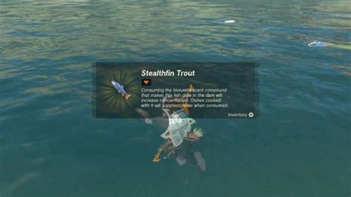 Unlock The Secrets Of Trout Success With Stealthfin Trout Totk