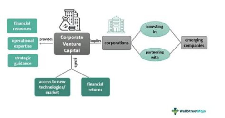 Unlocking Innovation And Growth As A Venture Capital Partner