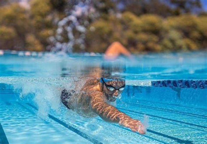 Unlocking The Secrets Of Swimming Success