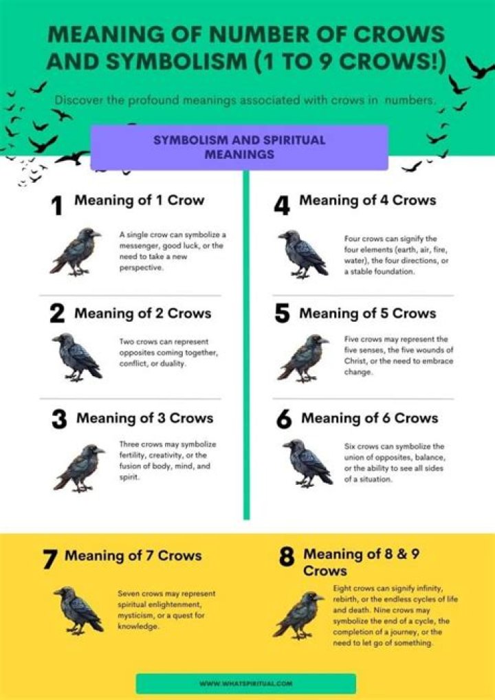 Unraveling The Symbolism And Significance Of Black Crows