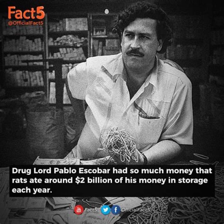 Unraveling The Wealth Of Pablo Escobar: How Much Money Did Escobar Make?