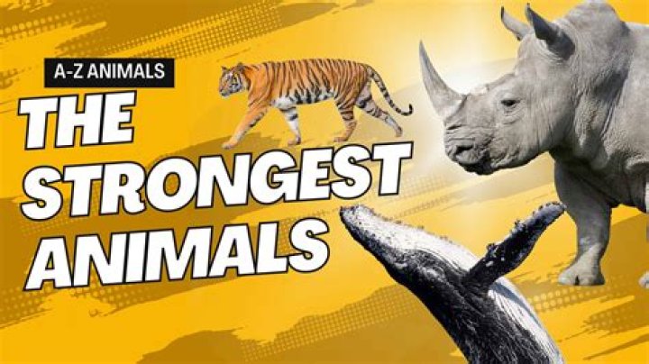 Unveil The Kodiak: The World's Strongest Animal