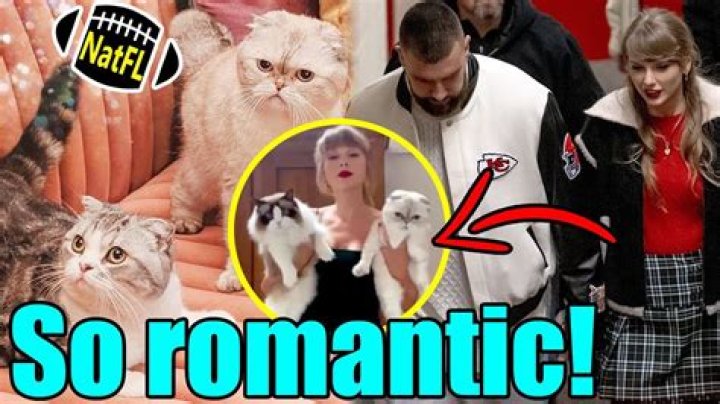 Unveil The Names And Secrets Of Taylor Swift's Beloved Cats