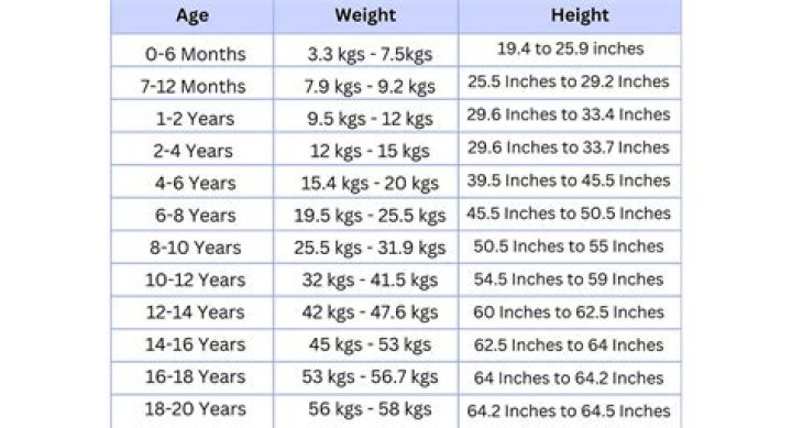 Unveiling Adam Sandler's Height And Weight: A Comprehensive Guide